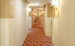 地毯案例